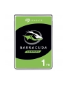 seagate Dysk BarraCuda 1TB 3,5 256MB ST1000DM014 - nr 1