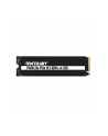 patriot Dysk SSD 250GB Viper P400 Lite 3200/1300MB/s PCIe M.2 Gen 4x4 NVMe1.4 - nr 9