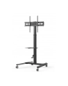 TECHLY Floor Trolley with Shelf for LCD / LED / Plasma TV 32-70inch - nr 4