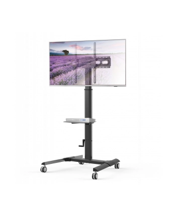 TECHLY Floor Trolley with Shelf for LCD / LED / Plasma TV 32-70inch