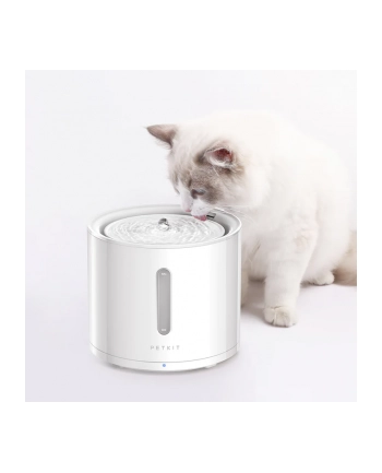 PETKIT Fountain CT-W2 Eversweet Solo 2 Pojemność 2l biały