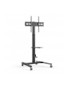 TECHLY Floor Trolley with Shelf for LCD / LED / Plasma TV 32-70inch - nr 10