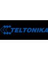 TELTONIKA 150GB Data for RMS Connect/VPN - nr 1