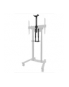 neomounts by newstar Uchywt na wideobar i zestaw multimedialny AFL-875BL1 - nr 72