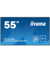 iiyama Monitor 55 cali LE5541UHS-B1 IPS,4K,18/7,LAN,USB,HDMI - nr 57