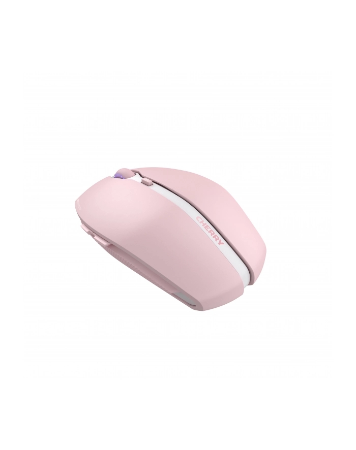 Cherry GENTIX różowy (JW750019) główny
