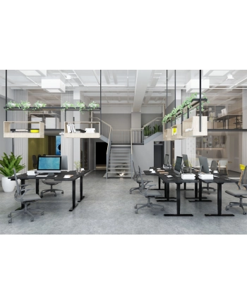 DIGITUS Height Adjustable Standing Desk Frame Dual motor 3-stages Kolor: CZARNY