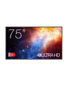 OPTOMA N3751K 65inch UHD 450cd/m2 Flat panel Display System Android 11 - nr 8