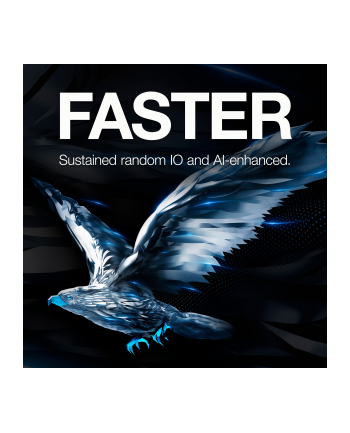seagate Dysk twardy SkyHawk 1TB 3,5'' 256MB ST1000VX013
