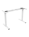 DIGITUS Electric Height Adjustable Desk Frame Dual motor 3-stages Kolor: BIAŁY - nr 16