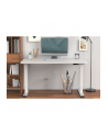 DIGITUS Electric Height Adjustable Desk Frame Dual motor 3-stages Kolor: BIAŁY - nr 24