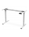 DIGITUS Electric Height Adjustable Desk Frame Dual motor 3-stages Kolor: BIAŁY - nr 29
