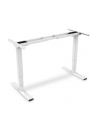 DIGITUS Electric Height Adjustable Desk Frame Dual motor 3-stages Kolor: BIAŁY - nr 8