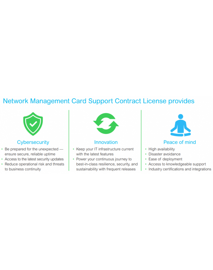APC Single Phase Easy UPS Network Management Card - 3 Year Standard główny