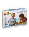 LEGO 10997 DUPLO Disney Kempingowa przygoda p3 - nr 28