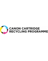 CANON PG-540/CL-541 Ink Cartridge PVP - nr 17
