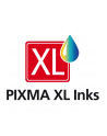 CANON PG-575XL /CL-576XL Ink Cartridge PVP - nr 13