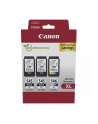 CANON PG-545XLx2/CL-546XL Ink Cartridge MULTI - nr 12