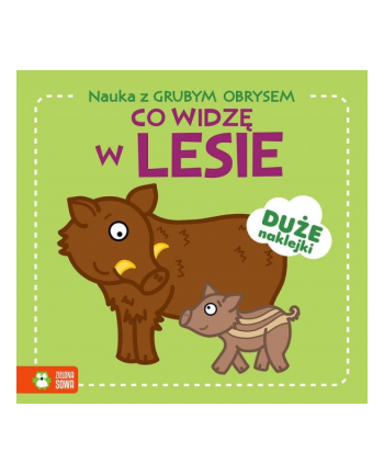 zielona sowa Książeczka Nauka z grubym obrysem. Co widzę w lesie