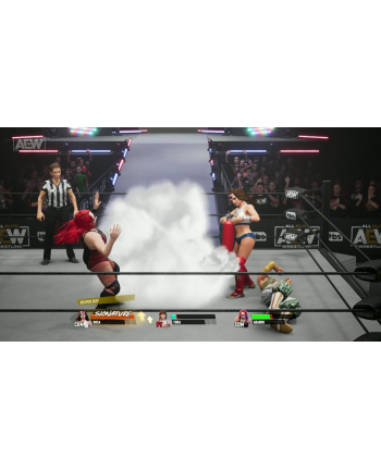 plaion Gra Xbox One/Xbox Series X AEW: Fight Forever