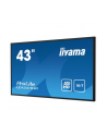 iiyama Monitor wielkoformatowy 43 cale LE4341S-B1 IPS,FHD,18/7,LAN,HDMI - nr 27