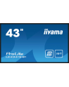 iiyama Monitor wielkoformatowy 43 cale LE4341S-B1 IPS,FHD,18/7,LAN,HDMI - nr 28
