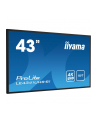 iiyama Monitor wielkoformatowy 43 cale LE4341UHS-B1 IPS,4K,18/7,LAN,USB,HDMI - nr 57