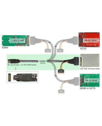 DELOCK  ADAPTER M.2 KEY M DO U.2 SFF-8639 NVME Z KABLEM 50 CM  ()