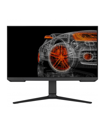 Samsung 24'' G304 (LS24AG304NRXEN) black