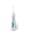 Panasonic EW1313  / EW1313G303  Cordless - nr 20