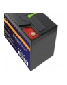 qoltec Akumulator LiFePO4 Litowo-Żelazowo-Fosforanowy | 12.8V | 30Ah |  384Wh | BMS - nr 2