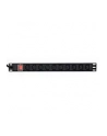 GEMBIRD Listwa RACK 10 gniazd C13 1U 2m - nr 1