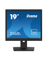 iiyama Monitor 19 cali B1980D-B5 DVI,VGA,PIVIOT,HAS/150mm,5:4 - nr 43