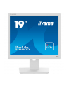 iiyama Monitor 19 cali B1980D-B5 DVI,VGA,PIVIOT,HAS/150mm,5:4 - nr 56