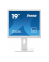 iiyama Monitor 19 cali B1980D-W5 DVI,VGA,PIVIOT,HAS/150mm,5:4 - nr 1