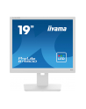 iiyama Monitor 19 cali B1980D-W5 DVI,VGA,PIVIOT,HAS/150mm,5:4 - nr 22