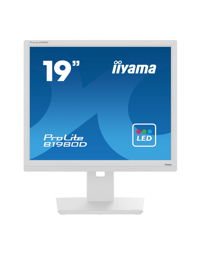 iiyama Monitor 19 cali B1980D-W5 DVI,VGA,PIVIOT,HAS/150mm,5:4 główny