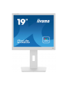 iiyama Monitor 19 cali B1980D-W5 DVI,VGA,PIVIOT,HAS/150mm,5:4 - nr 23