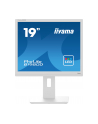 iiyama Monitor 19 cali B1980D-W5 DVI,VGA,PIVIOT,HAS/150mm,5:4 - nr 36