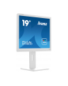 iiyama Monitor 19 cali B1980D-W5 DVI,VGA,PIVIOT,HAS/150mm,5:4 - nr 38