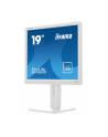 iiyama Monitor 19 cali B1980D-W5 DVI,VGA,PIVIOT,HAS/150mm,5:4 - nr 3