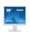 iiyama Monitor 19 cali B1980D-W5 DVI,VGA,PIVIOT,HAS/150mm,5:4 - nr 44