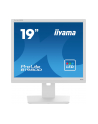 iiyama Monitor 19 cali B1980D-W5 DVI,VGA,PIVIOT,HAS/150mm,5:4 - nr 45