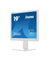 iiyama Monitor 19 cali B1980D-W5 DVI,VGA,PIVIOT,HAS/150mm,5:4 - nr 4