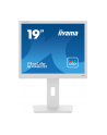 iiyama Monitor 19 cali B1980D-W5 DVI,VGA,PIVIOT,HAS/150mm,5:4 - nr 51