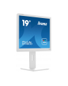 iiyama Monitor 19 cali B1980D-W5 DVI,VGA,PIVIOT,HAS/150mm,5:4 - nr 52