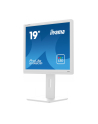 iiyama Monitor 19 cali B1980D-W5 DVI,VGA,PIVIOT,HAS/150mm,5:4 - nr 55