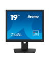 iiyama Monitor 19 cali B1980D-W5 DVI,VGA,PIVIOT,HAS/150mm,5:4 - nr 59