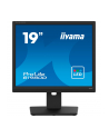 iiyama Monitor 19 cali B1980D-W5 DVI,VGA,PIVIOT,HAS/150mm,5:4 - nr 65