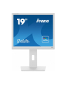 iiyama Monitor 19 cali B1980D-W5 DVI,VGA,PIVIOT,HAS/150mm,5:4 - nr 6
